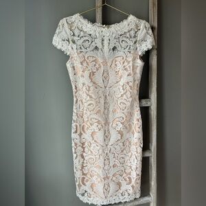 Tadashi Shoji Blush and White Lace Corded Dress